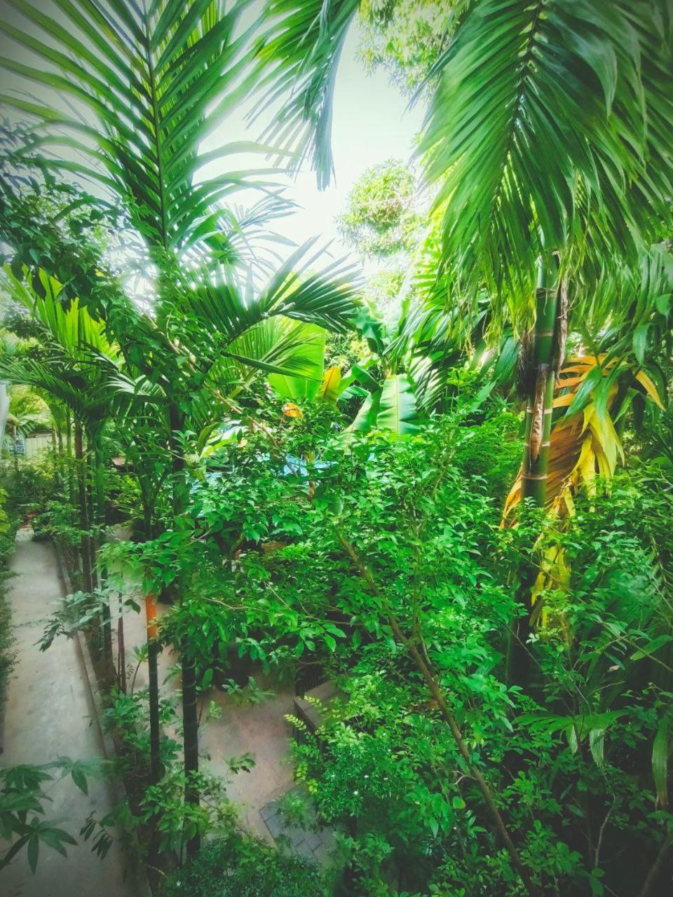Green Stay Village Siem Reap Eksteriør billede